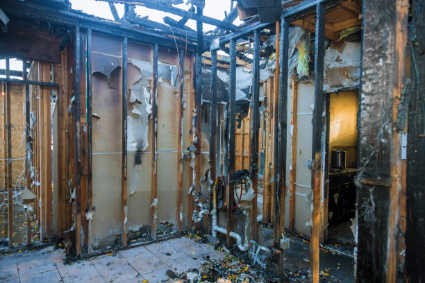 Professional Fire Damage Assessment technician working in Elton, LA